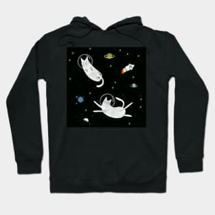 Cats in space. Hoodie